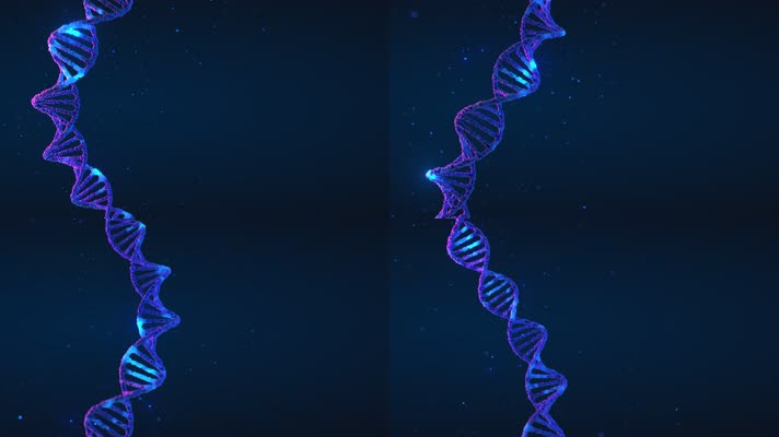 双螺旋DNA分子链创意动态视频
