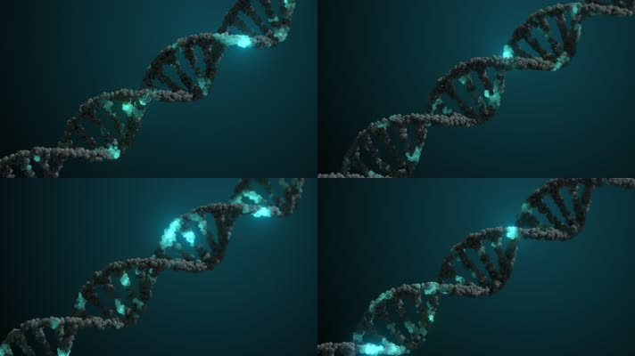 双螺旋DNA分子链创意动态视频