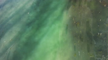 4K航拍俯瞰河流污染排污水污染环境污染 4K航拍俯瞰河流污染排污水污染环境污染