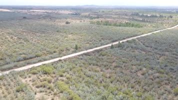 沙漠绿洲治理沙漠成效显著沙漠治理