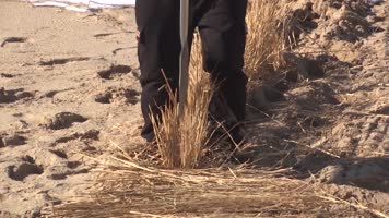 在沙漠中网格化种植植物防风固沙治理沙漠