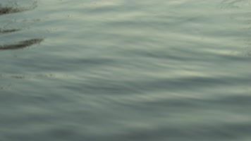 4K水面河水波纹唯美空镜 4K水面河水波纹唯美空镜