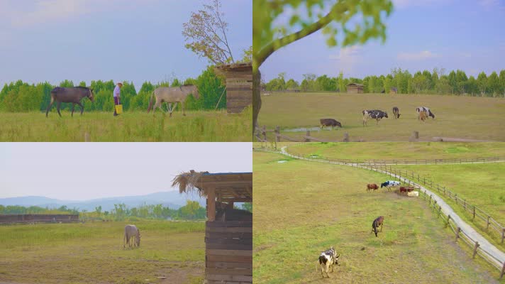 4K生态大牧场