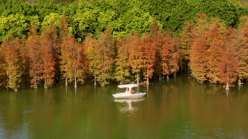 4K航拍南宁花花大世界景区