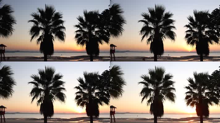 南方海边城市棕榈树前日出延时摄影