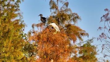 4K航拍南宁花花大世界景区风光