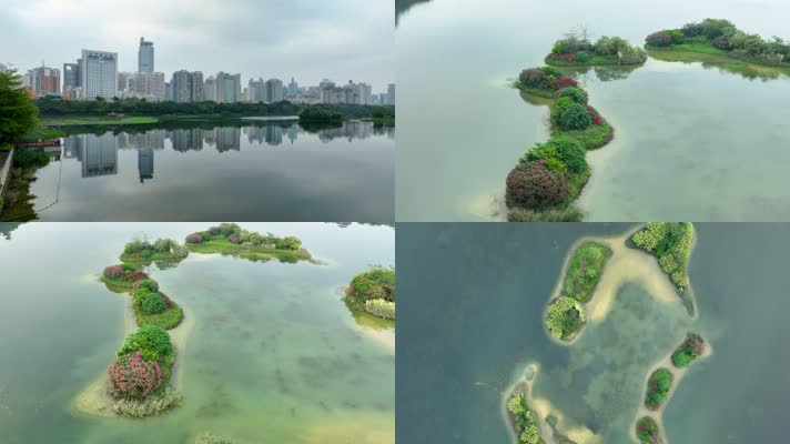 4K航拍南宁南湖公园