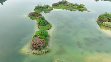 4K航拍南宁南湖公园