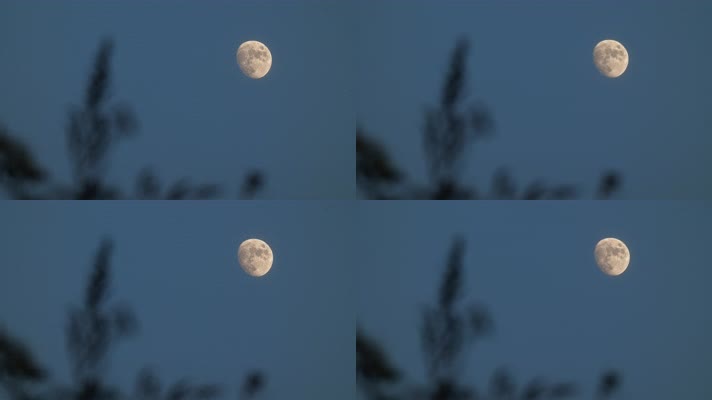 4K超柔美月亮月球