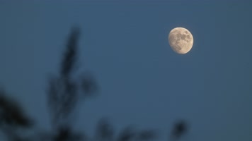 4K超柔美月亮月球