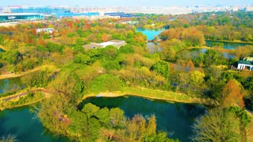 杭州西湖区西溪湿地美景风景视频素材94