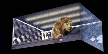 原创狮子裸眼3D折屏透视视频效果网红大屏