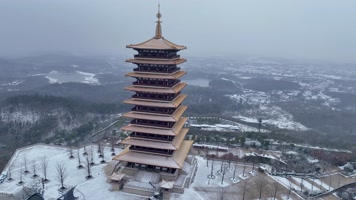 20230115_航拍南京牛首山雪景14航拍南京牛首山风景区雪景