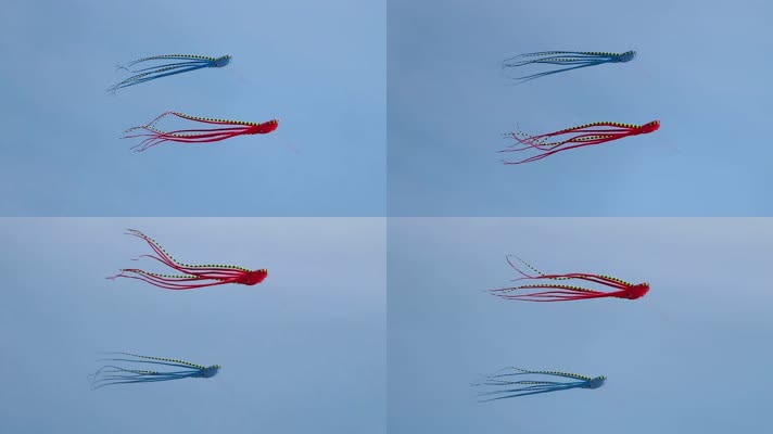 大型风筝漫天飞舞，与天空融成了一幅美丽景色