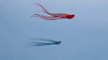 大型风筝漫天飞舞，与天空融成了一幅美丽景色