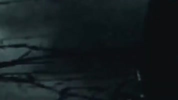 40年代三大战役胜利