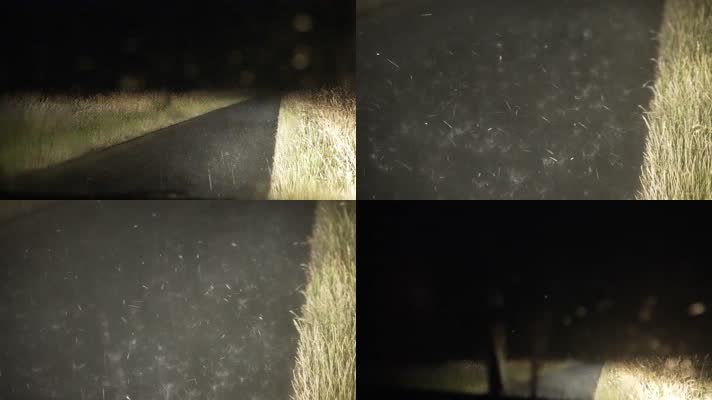 汽车中拍摄夜晚暴雨大雨闪电