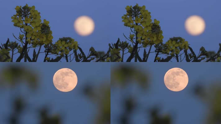 超级月亮夜空唯美特写