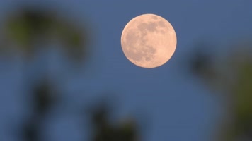 超级月亮夜空唯美特写