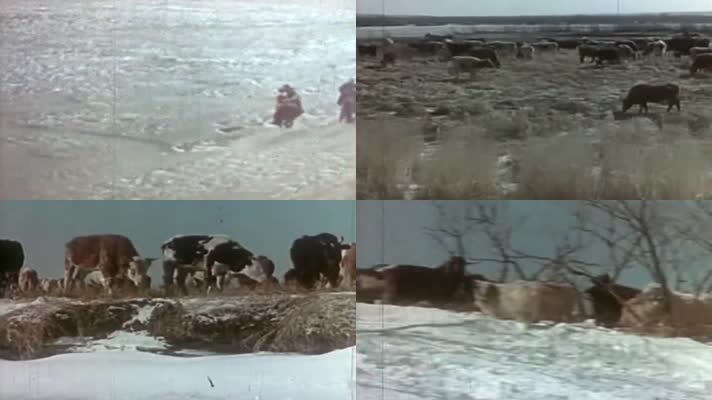 50年代的内蒙古冬季影像1