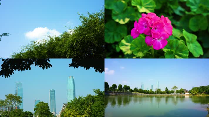 蓝天白云花朵树枝湖水建筑唯美