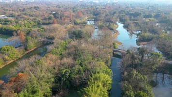 杭州市西湖区西溪湿地美景风景视频素材94