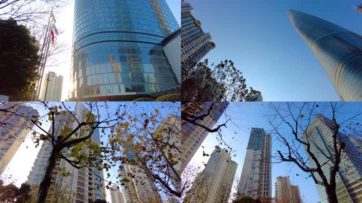透过树枝叶子仰望陆家嘴上海中心大厦风景4