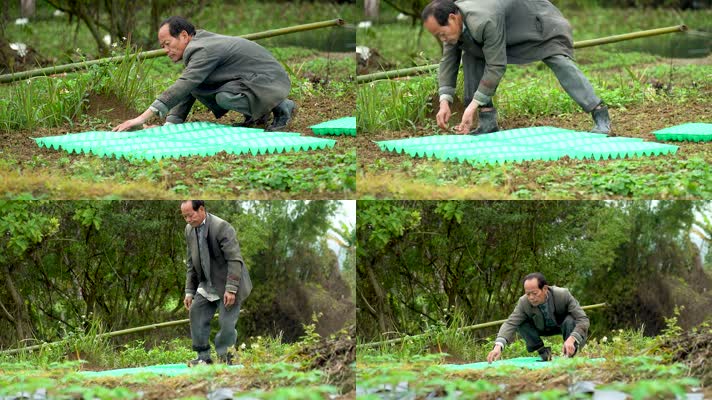 农民种地干活种庄稼