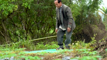 农民种地干活种庄稼