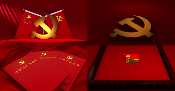 【原创】党政视频素材合集-12款