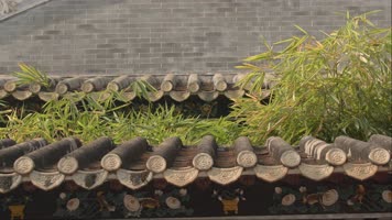 中式园林古建筑写意岭南园林屋檐景观6K