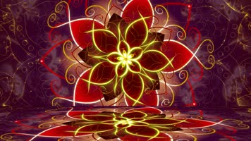 动感民族风情舞蹈