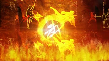 中国功夫 中华武术