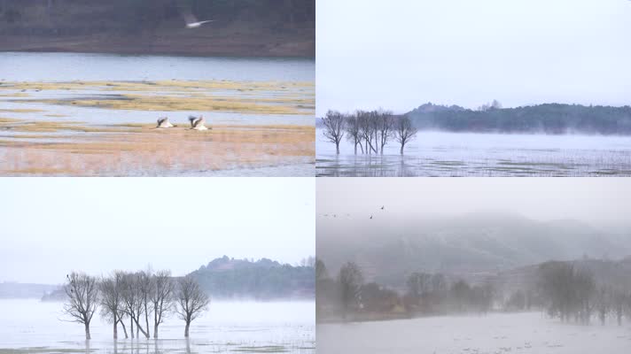 4K拍摄 云南念湖美景