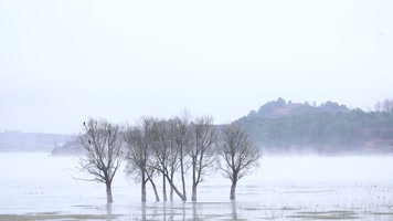 4K拍摄 云南念湖美景