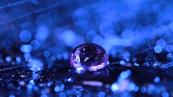 雨中的宝石大合集