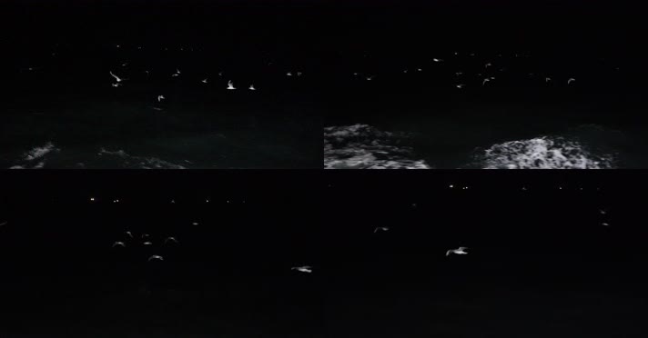 4kl1广东雷州市海上夜景拍摄（海鸥6