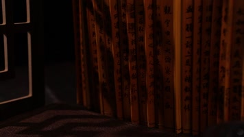 光影律动 光影律动