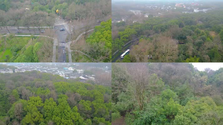 杭州植物园春天树林风景航拍