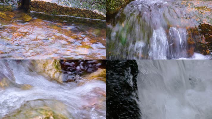 杭州植物园小溪流水风景视频素材499