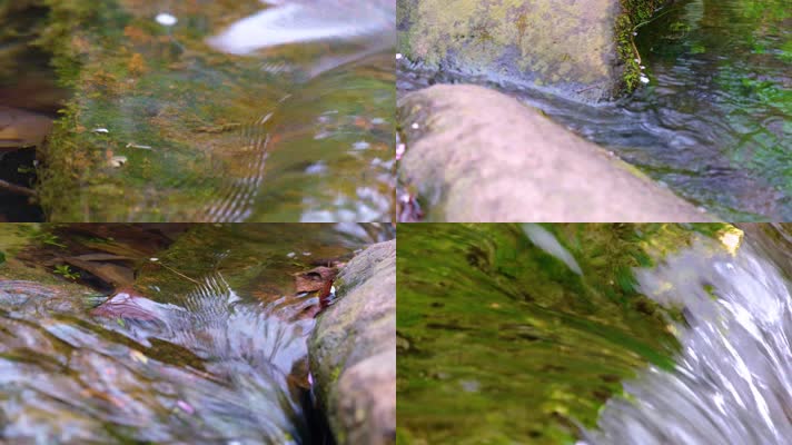 杭州植物园小溪流水风景视频素材940