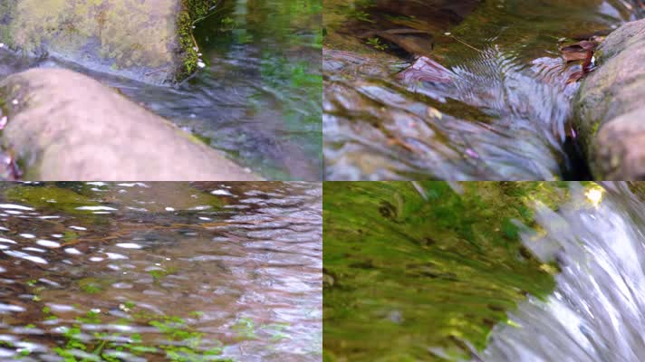 杭州植物园小溪流水风景视频素材400