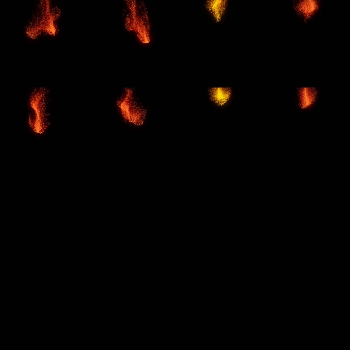 金色粒子下落黄金粒子喷洒18组