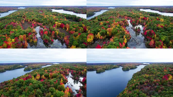 秋季森林湖泊红叶黄叶唯美航拍