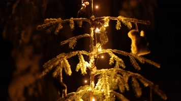 圣诞节圣诞树装饰唯美合集