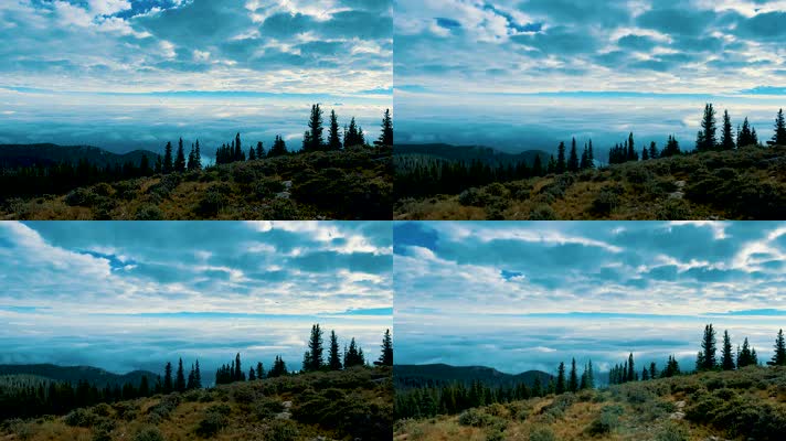 4K高山森林云海 时光流逝美丽自然风景