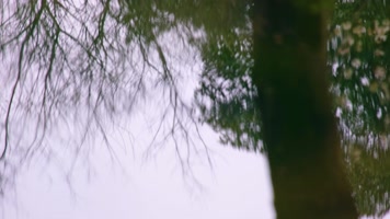 小溪流水倒影特写风景视频素材