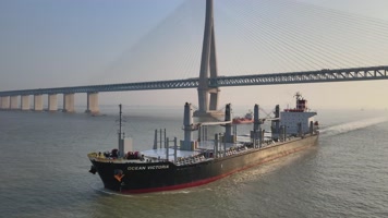 多视角整合 长江 大桥 立体交通 斜拉索 大