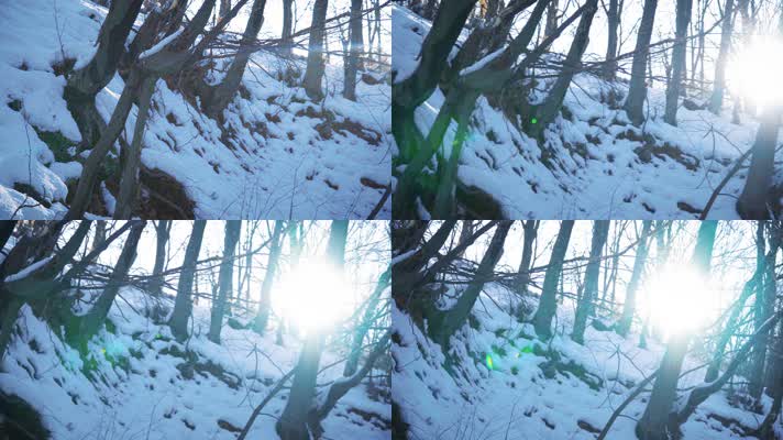 冬季森林唯美逆光朦胧阳光