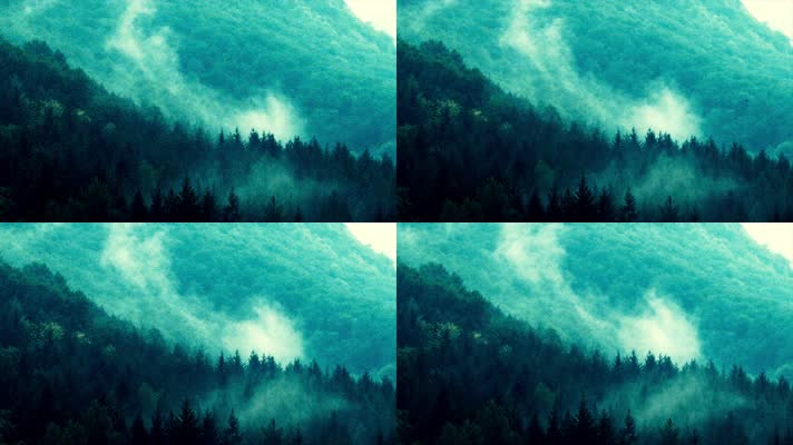 夏季森林云雾缭绕
